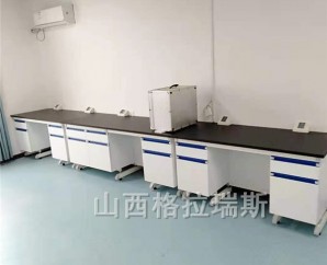 內(nèi)蒙古鄂爾多斯實(shí)驗(yàn)臺(tái)定制暖白色